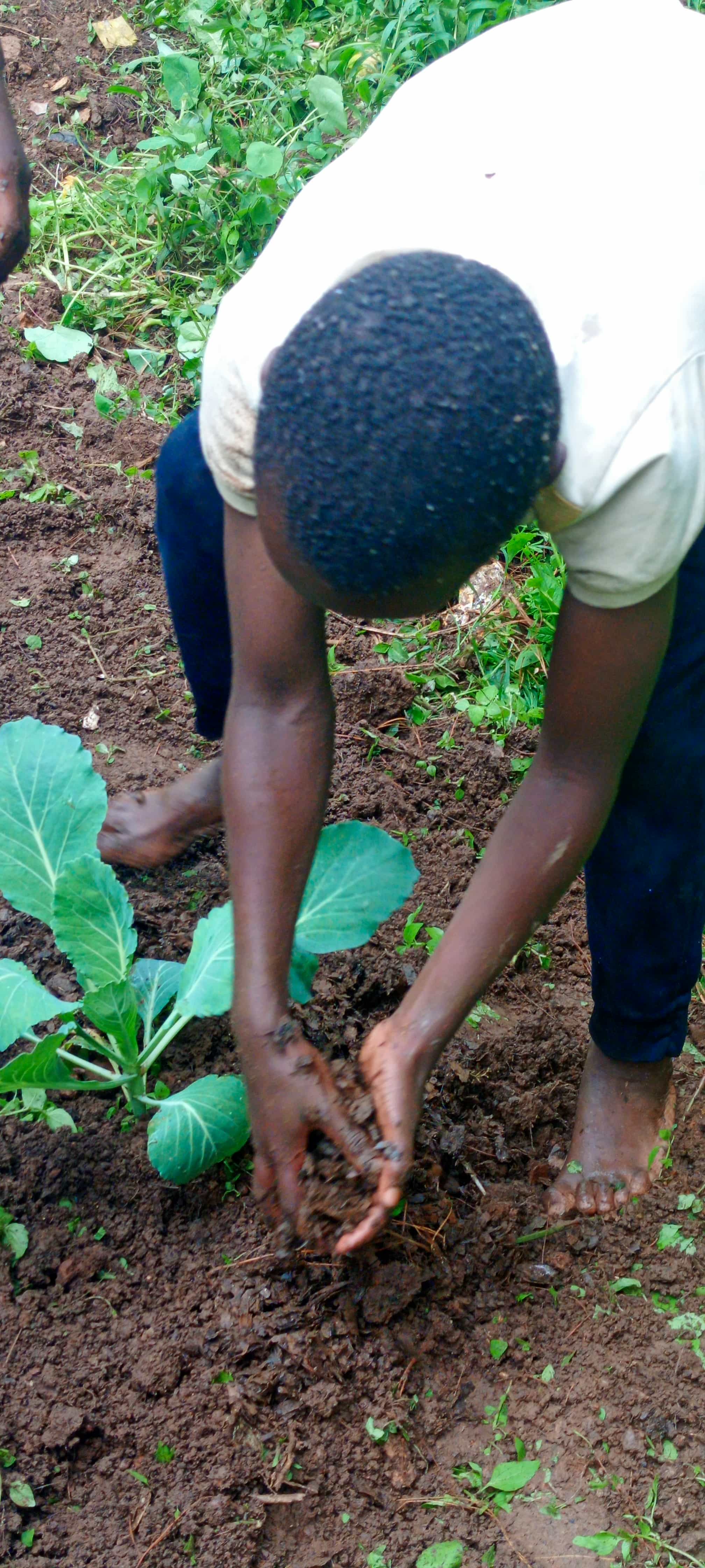 Teaching children farming skills